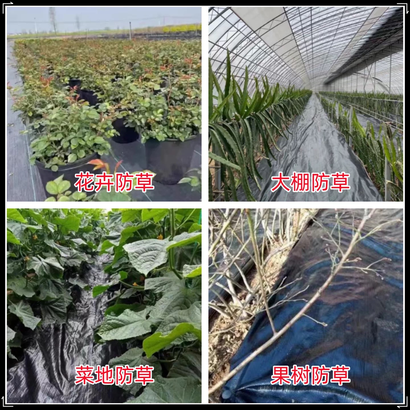 抚州市工程膜防草布 - 价格