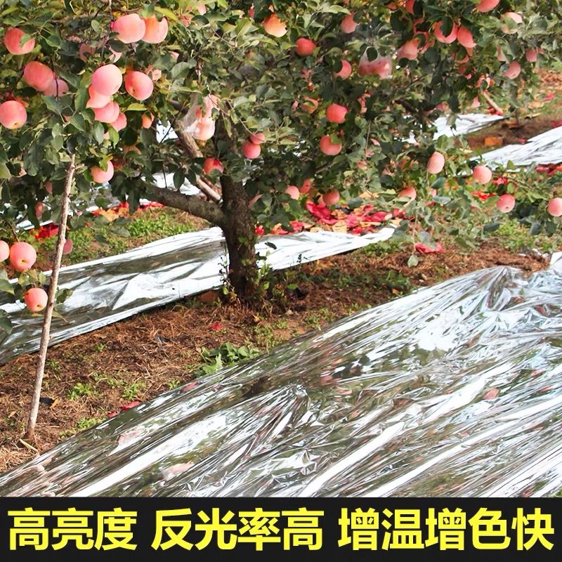 抚州市工程膜果树反光膜 - 一站式服务